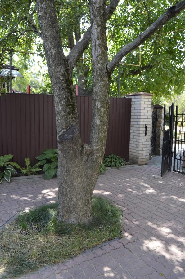 Апартаменти В Будиночку Біля Софіївського Парка Uman Exterior photo